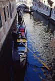26-Accanto Palazzo ducale,26 marzo 1989